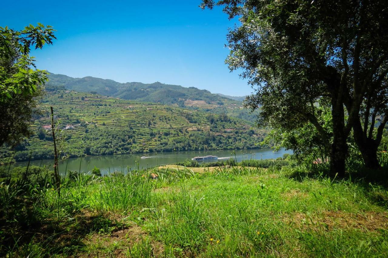 Casa Da Mouta - Douro Valley Baião المظهر الخارجي الصورة