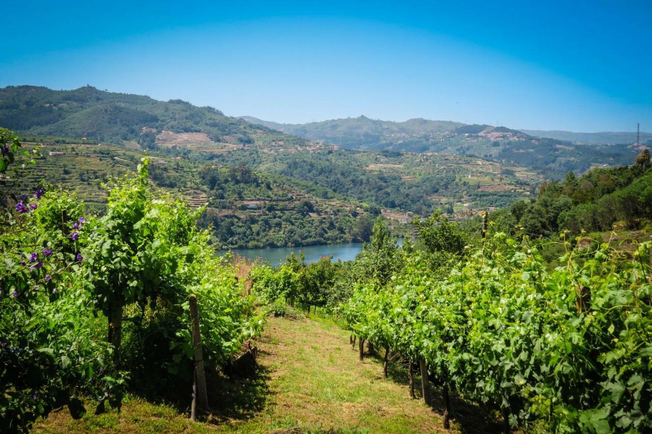 Casa Da Mouta - Douro Valley Baião المظهر الخارجي الصورة