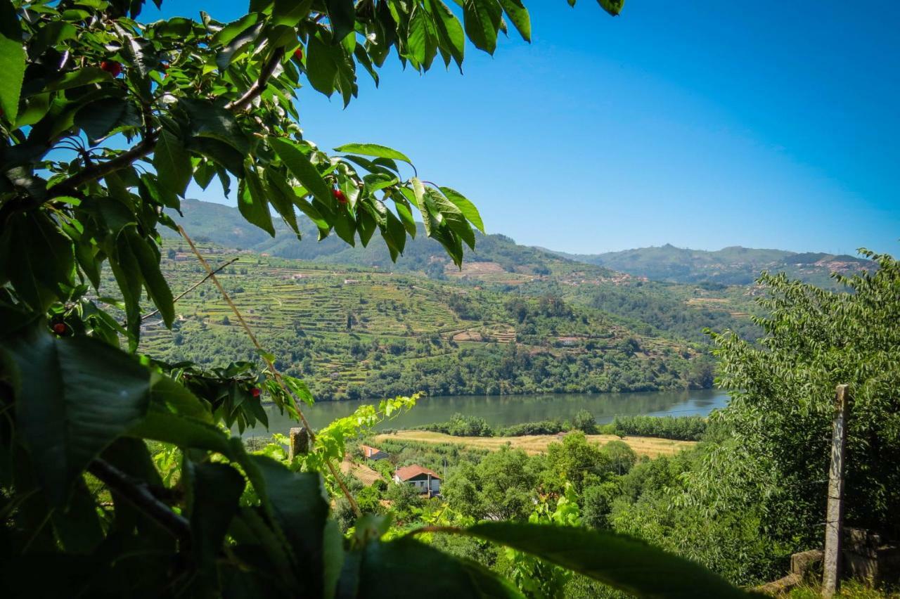 Casa Da Mouta - Douro Valley Baião المظهر الخارجي الصورة