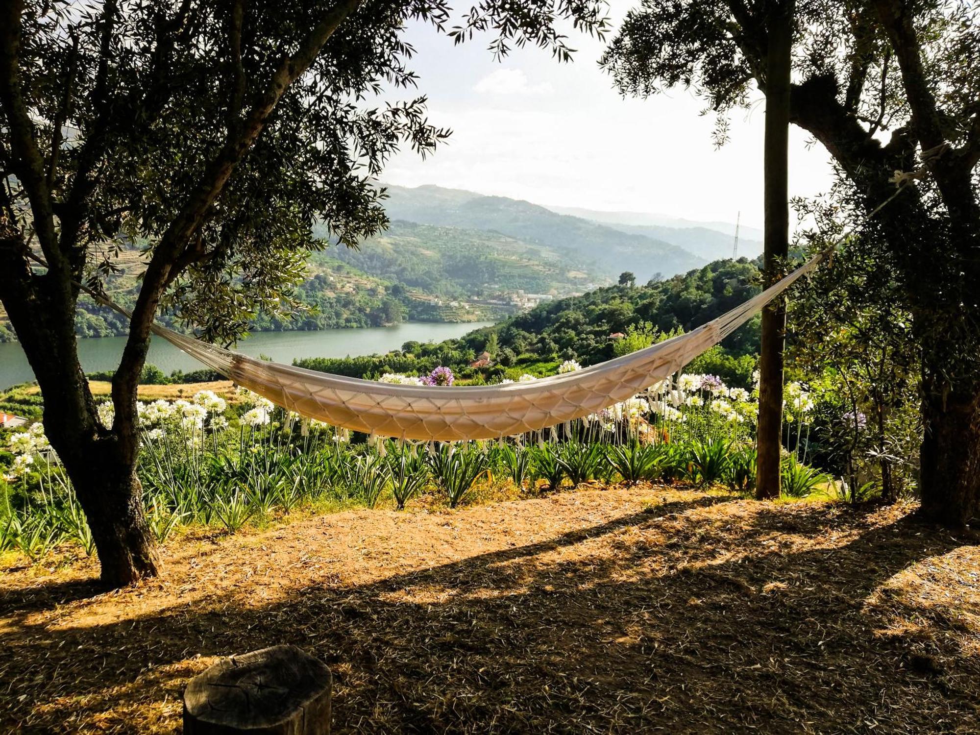 Casa Da Mouta - Douro Valley Baião المظهر الخارجي الصورة