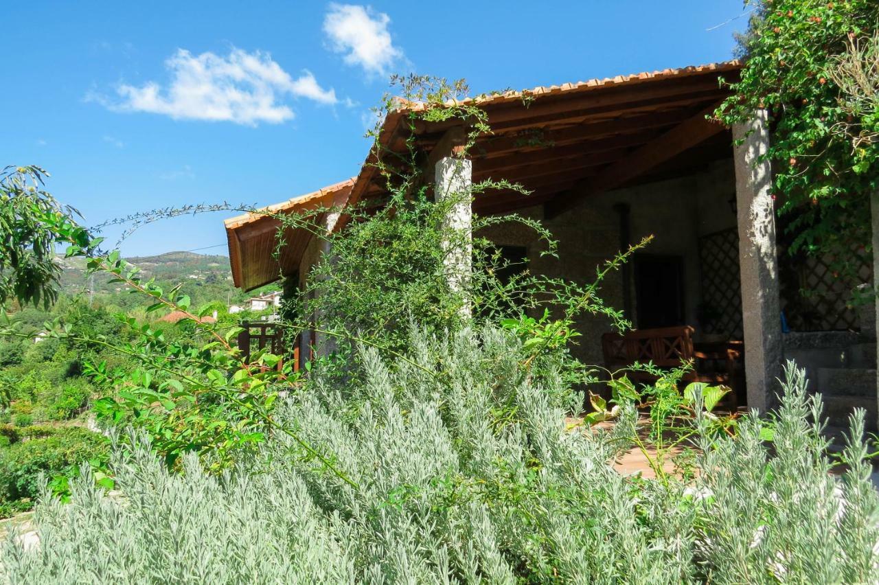 Casa Da Mouta - Douro Valley Baião المظهر الخارجي الصورة